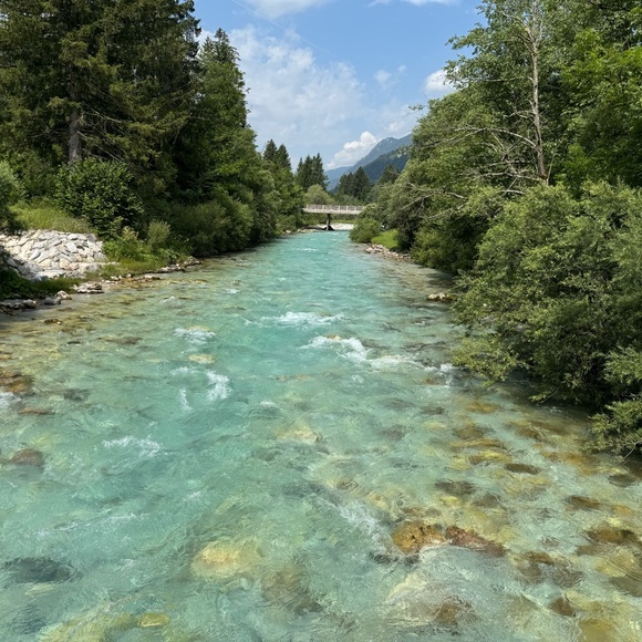 Meet your Posher, Julie - Picture 1 of 1